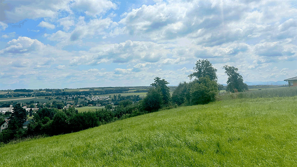 Kematen - Weizenweg, Kornweg