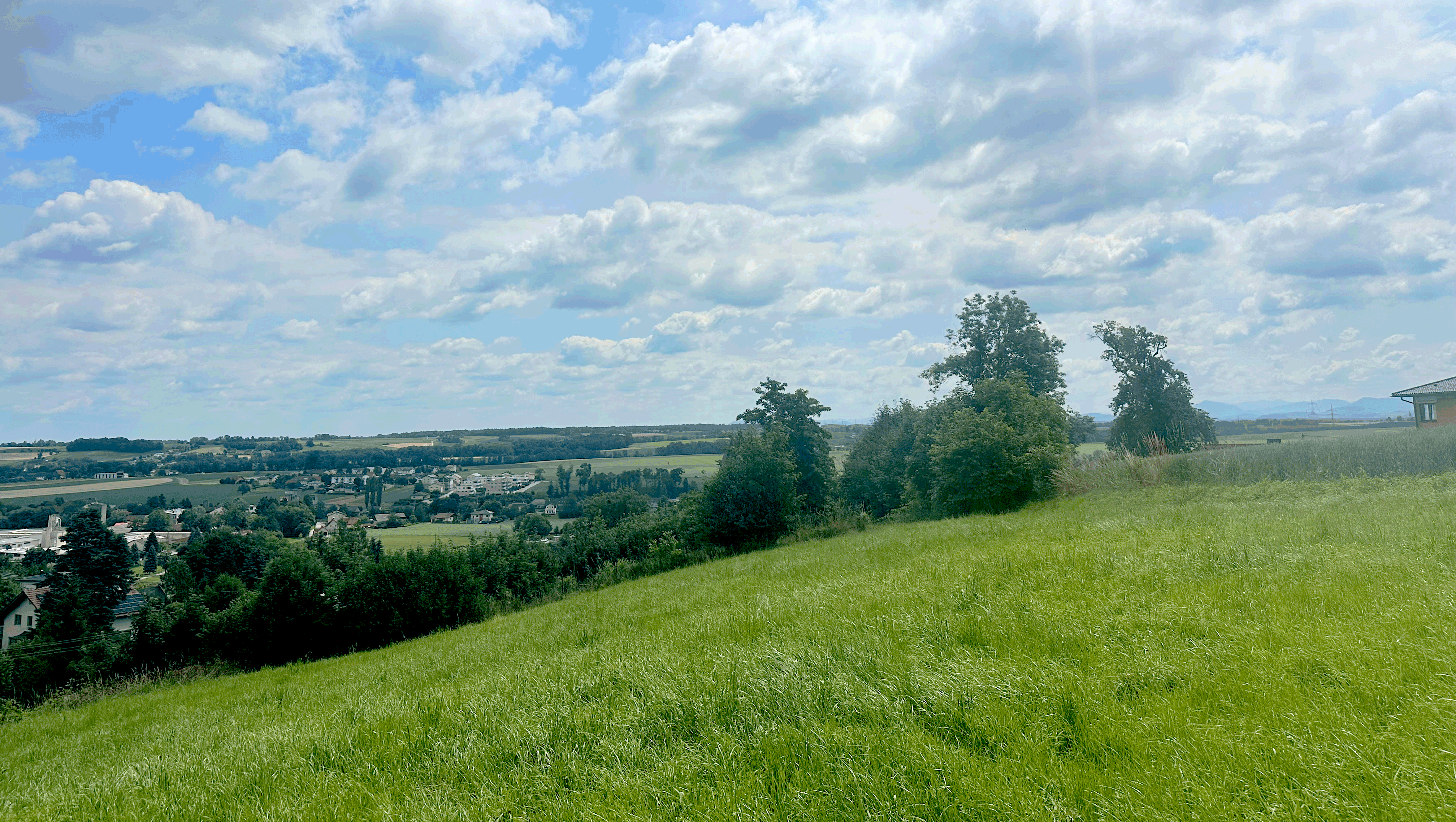 Kematen - Weizenweg, Kornweg
